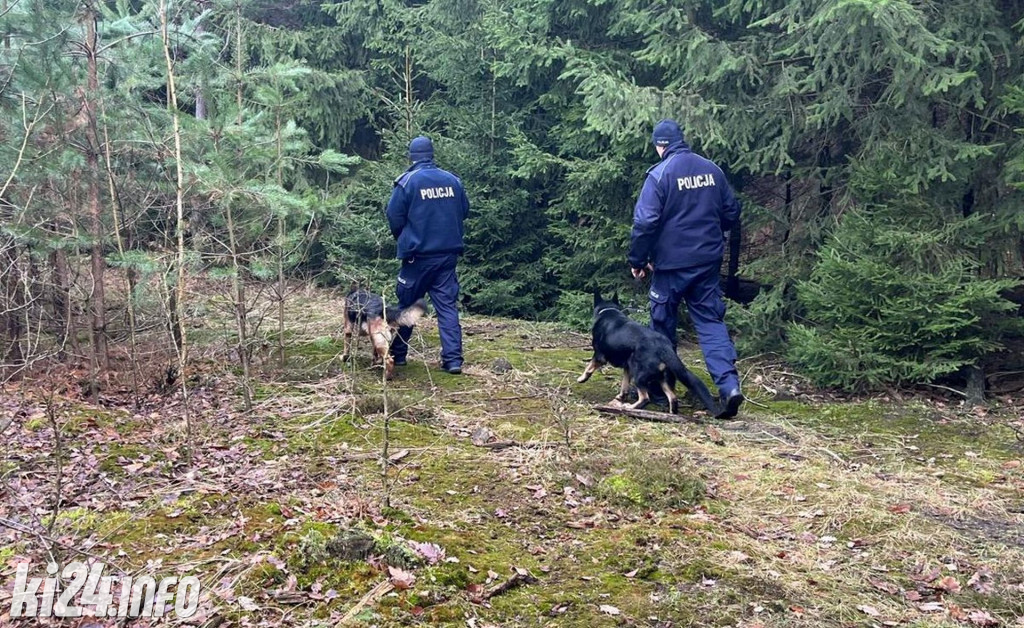 Policyjne patrole w lasach