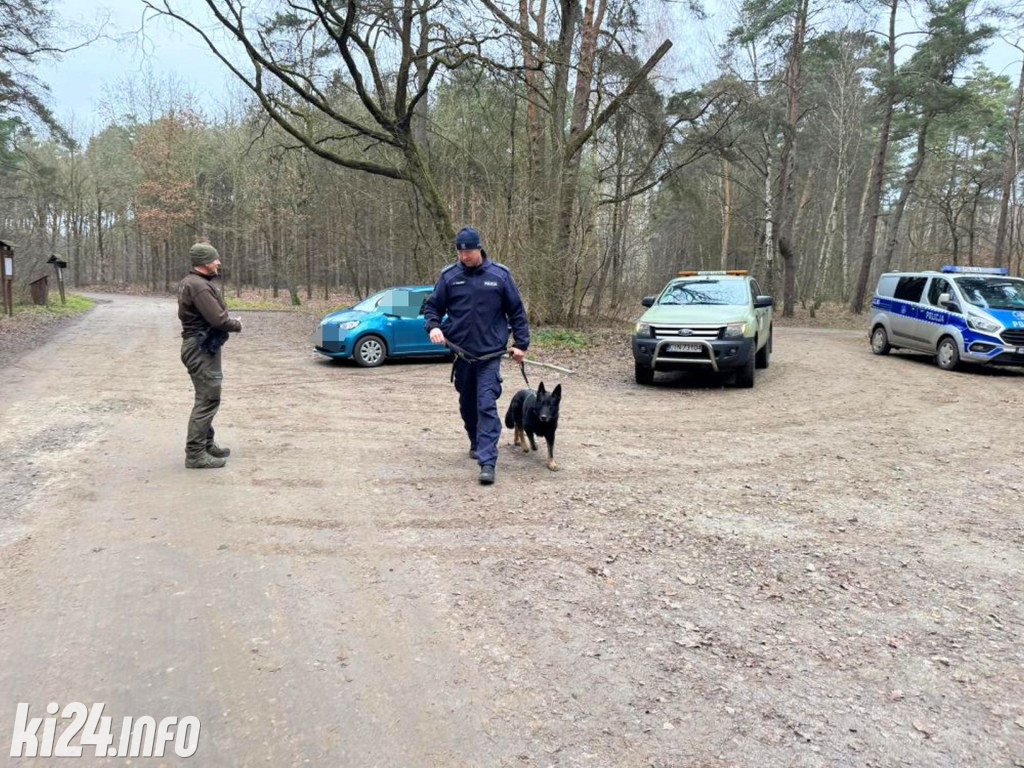 Policyjne patrole w lasach