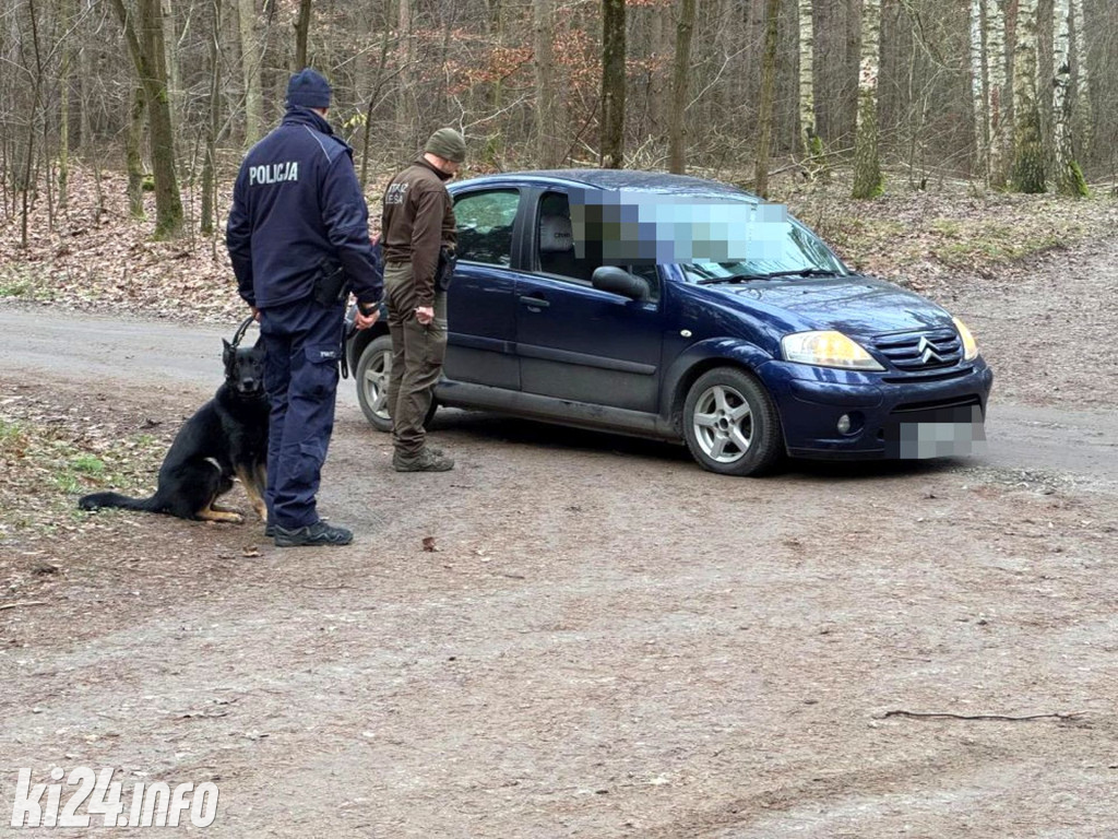 Policyjne patrole w lasach