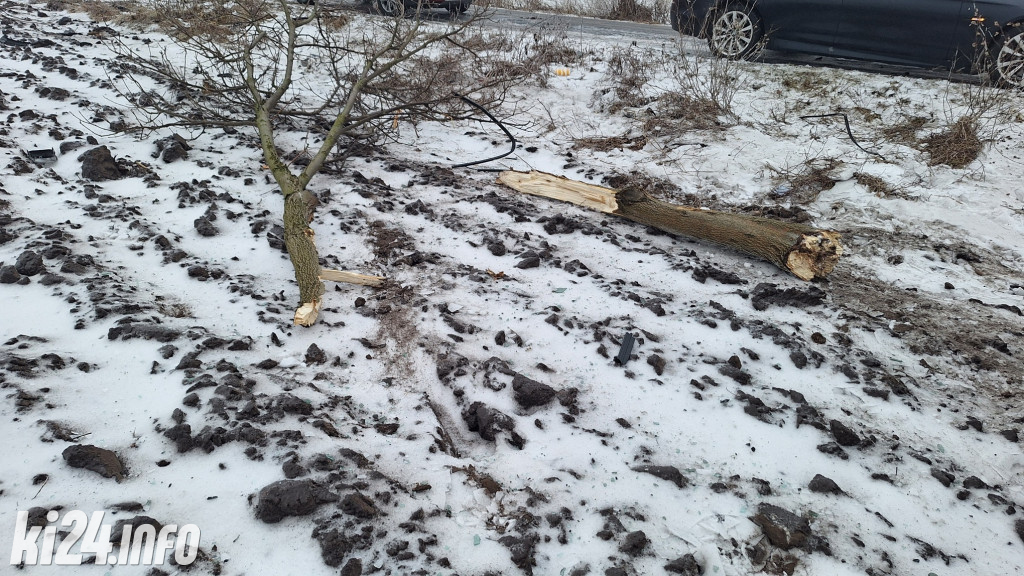 BMW dachowało pod Kruszwicą