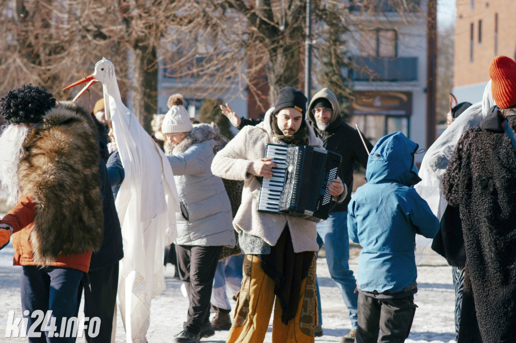 Koza Kujawska wróciła do Gniewkowa