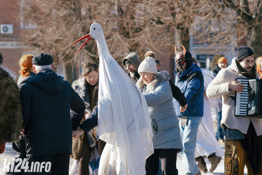 Koza Kujawska wróciła do Gniewkowa