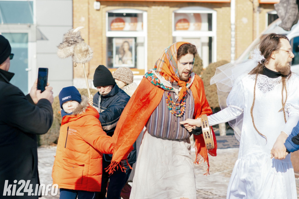 Koza Kujawska wróciła do Gniewkowa