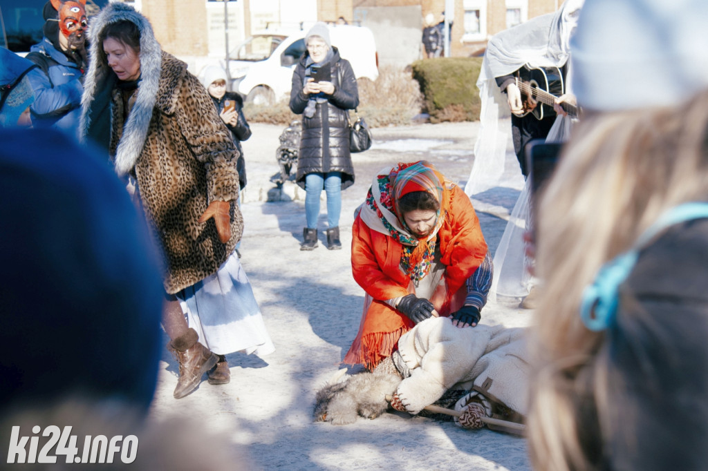 Koza Kujawska wróciła do Gniewkowa