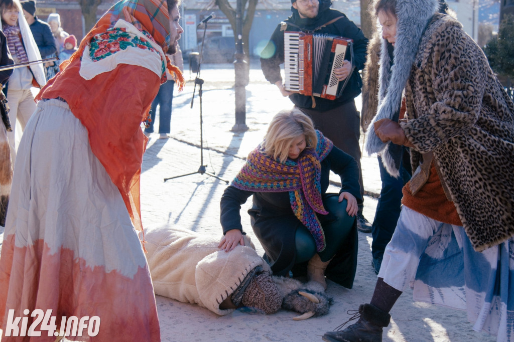 Koza Kujawska wróciła do Gniewkowa