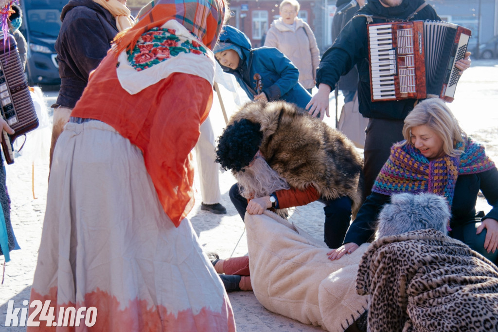 Koza Kujawska wróciła do Gniewkowa
