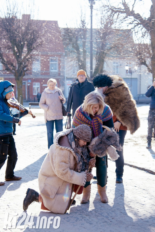 Koza Kujawska wróciła do Gniewkowa