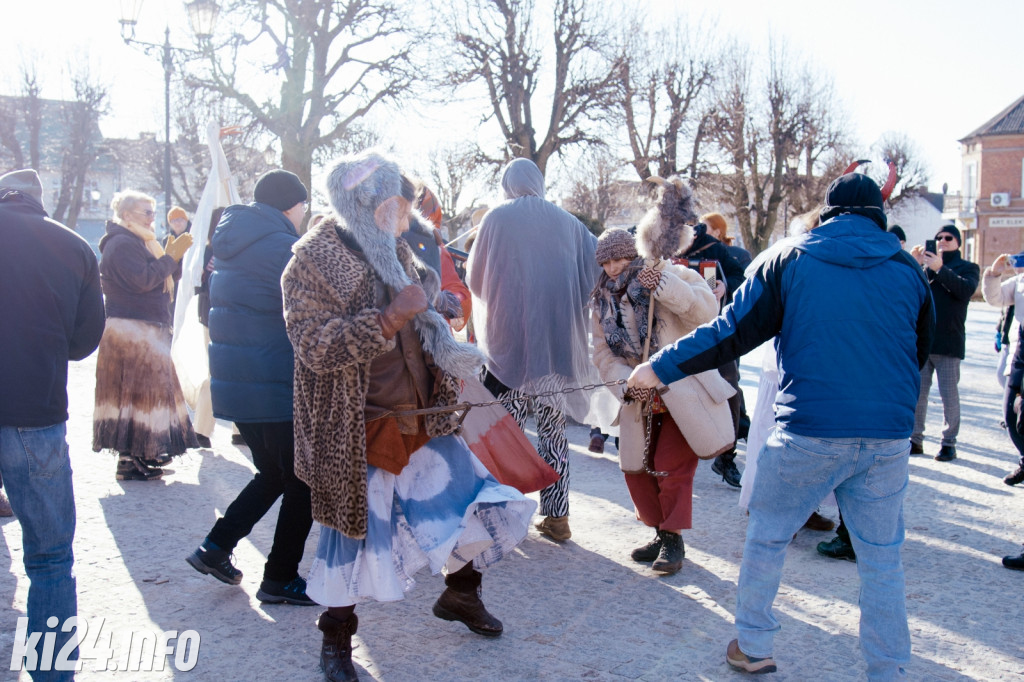 Koza Kujawska wróciła do Gniewkowa