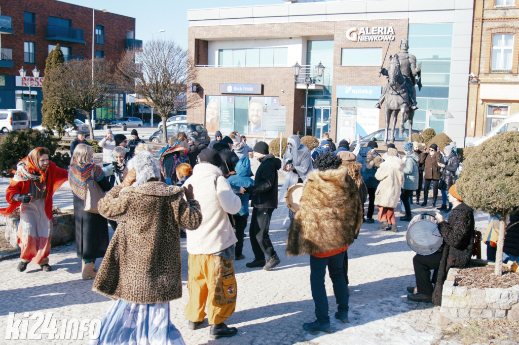 Koza Kujawska wróciła do Gniewkowa