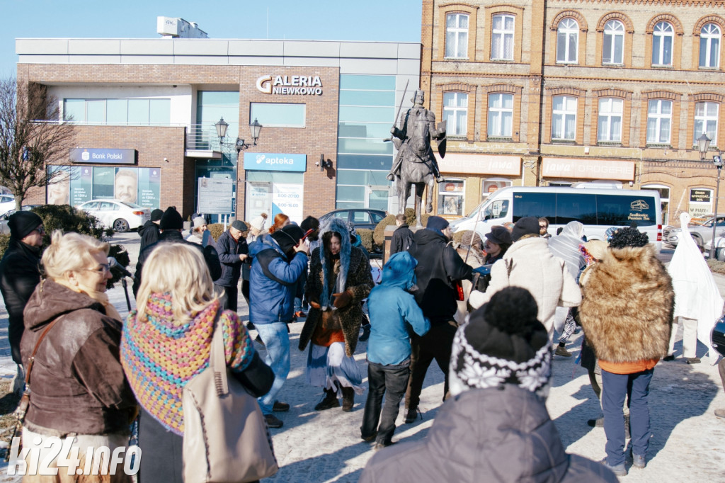 Koza Kujawska wróciła do Gniewkowa