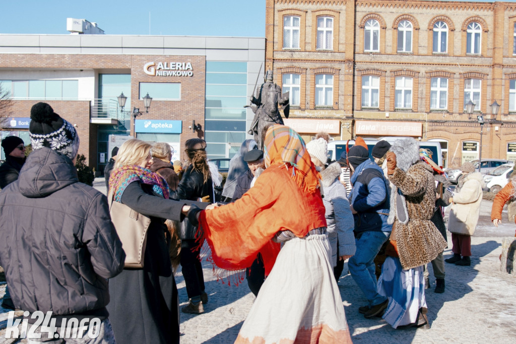 Koza Kujawska wróciła do Gniewkowa