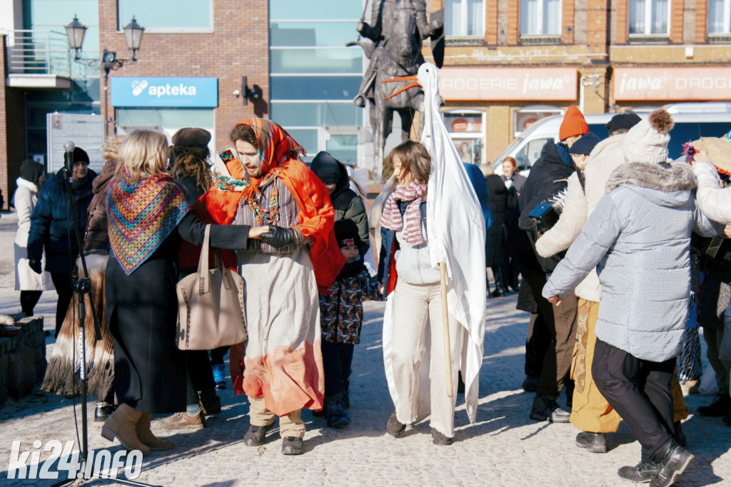 Koza Kujawska wróciła do Gniewkowa
