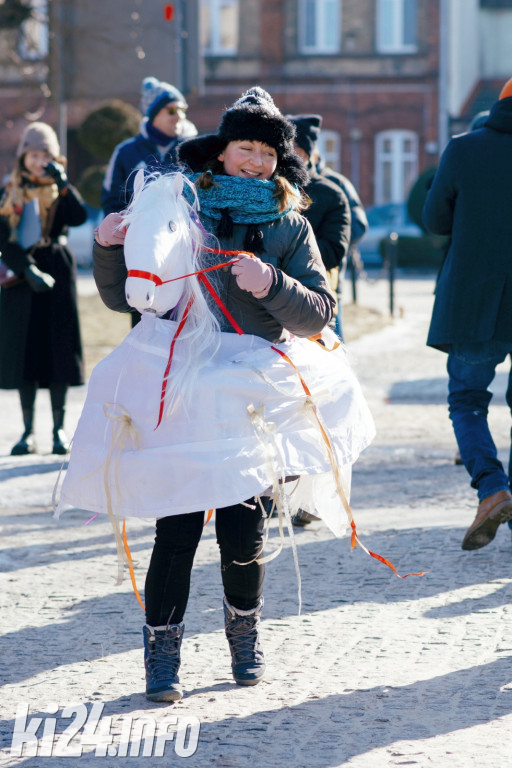 Koza Kujawska wróciła do Gniewkowa