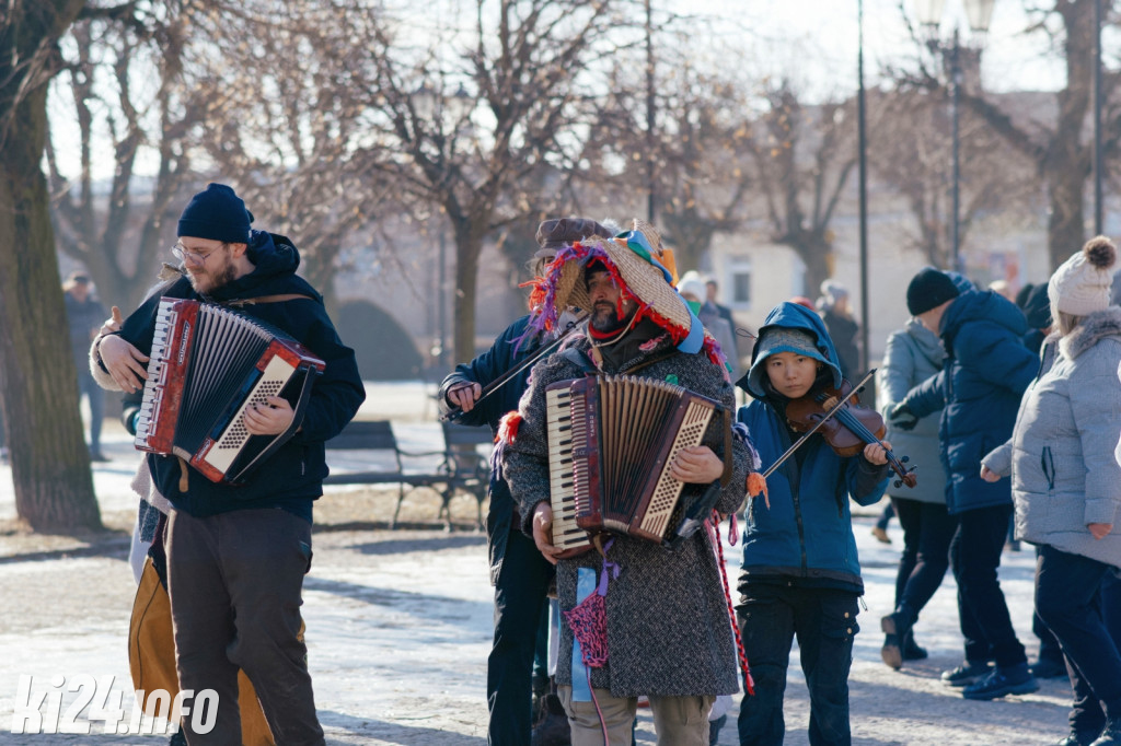Koza Kujawska wróciła do Gniewkowa