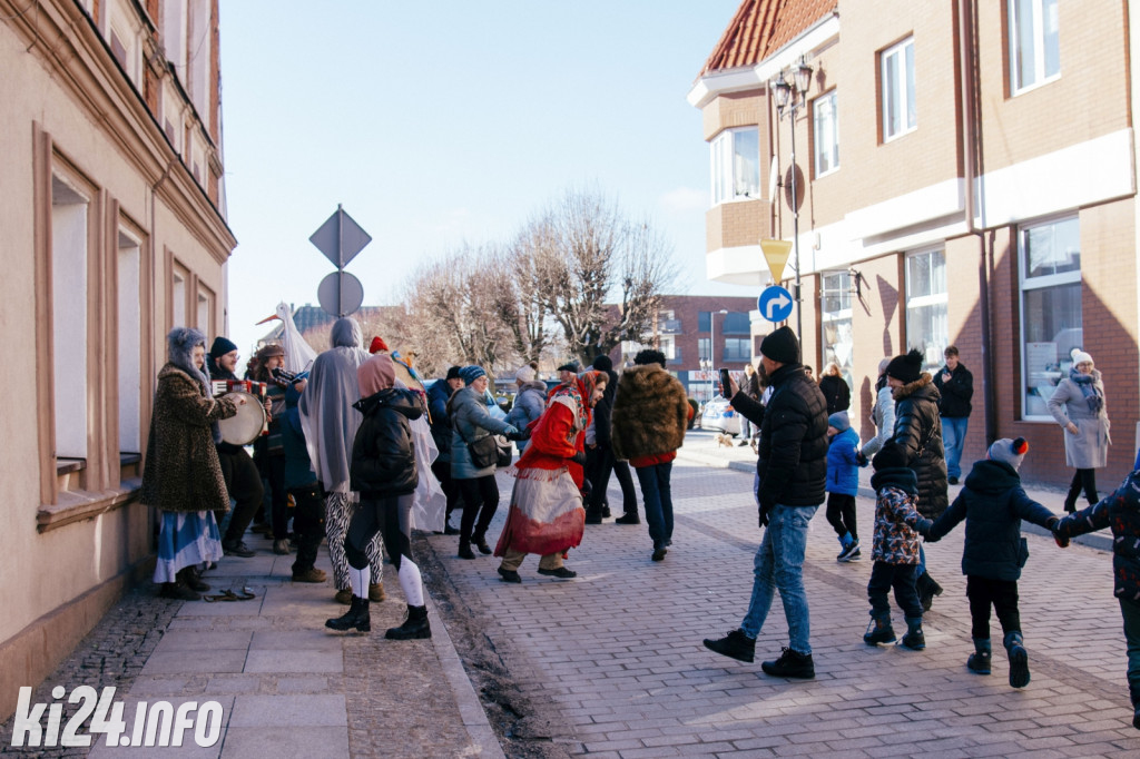Koza Kujawska wróciła do Gniewkowa