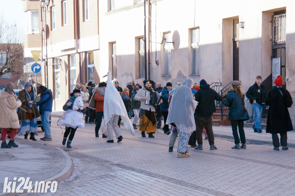 Koza Kujawska wróciła do Gniewkowa