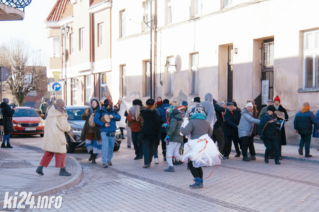 Koza Kujawska wróciła do Gniewkowa