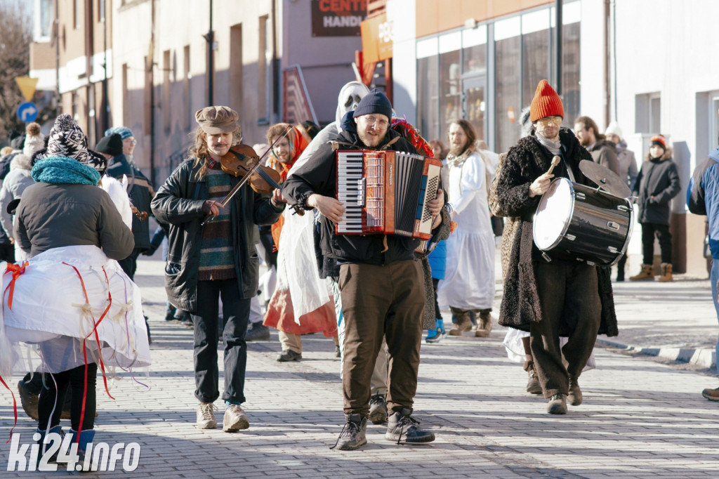 Koza Kujawska wróciła do Gniewkowa