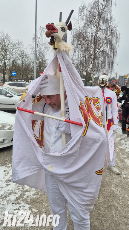 Kolorowy orszak zakończył karnawał