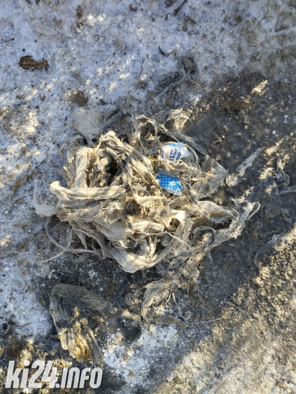 Co ludzie wrzucają do kanalizacji?