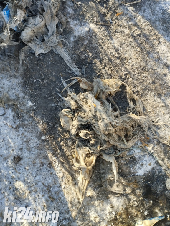 Co ludzie wrzucają do kanalizacji?