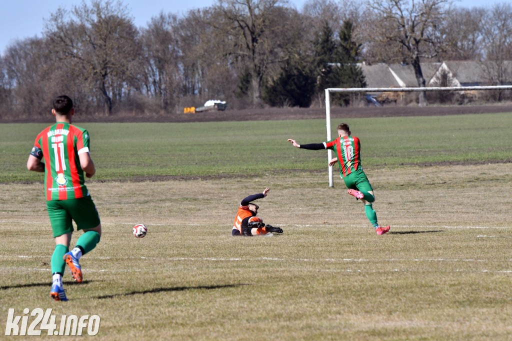 Orłowianka Orłowo - AF Brzoza