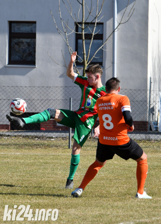 Orłowianka Orłowo - AF Brzoza