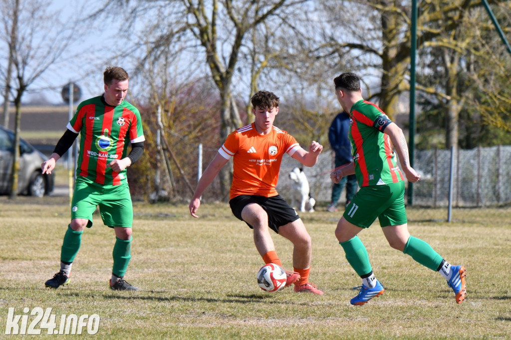 Orłowianka Orłowo - AF Brzoza