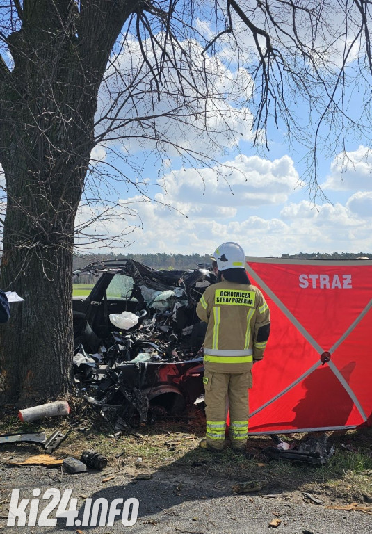 BMW uderzyło w drzewo