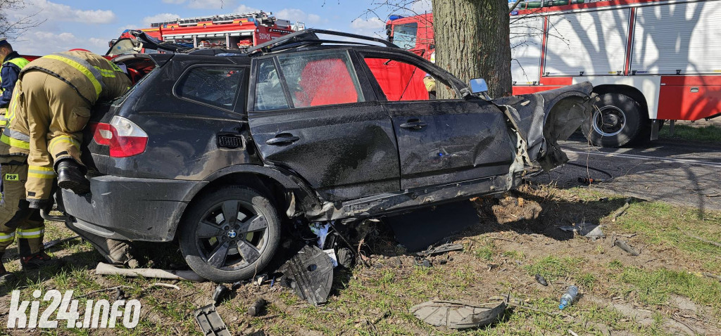BMW uderzyło w drzewo