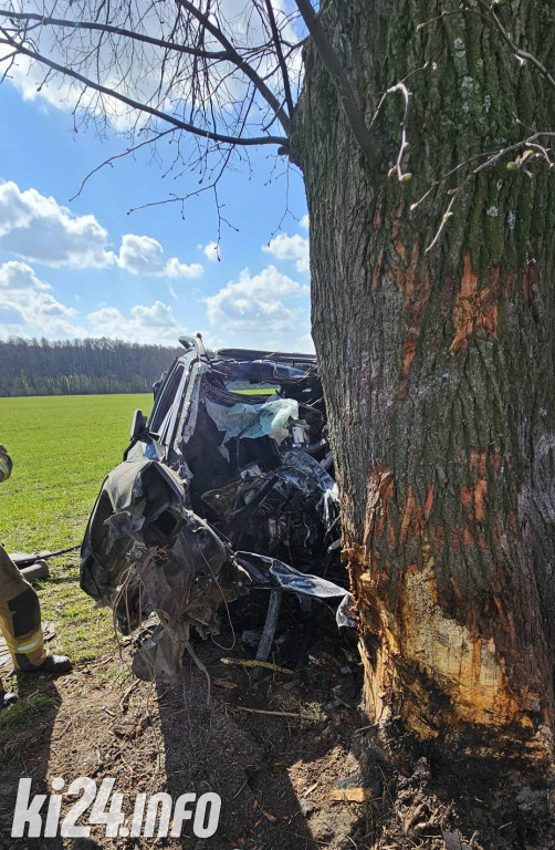 BMW uderzyło w drzewo