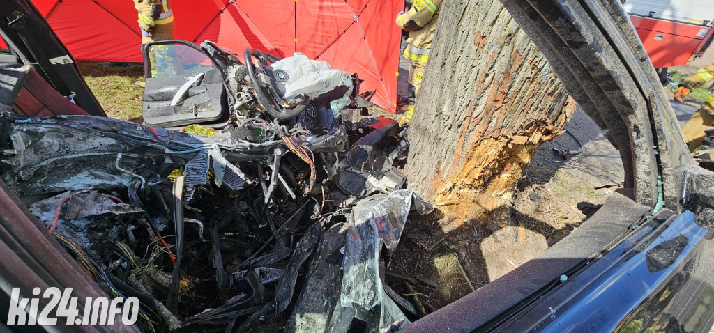 BMW uderzyło w drzewo