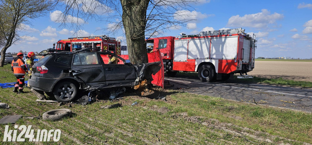 BMW uderzyło w drzewo