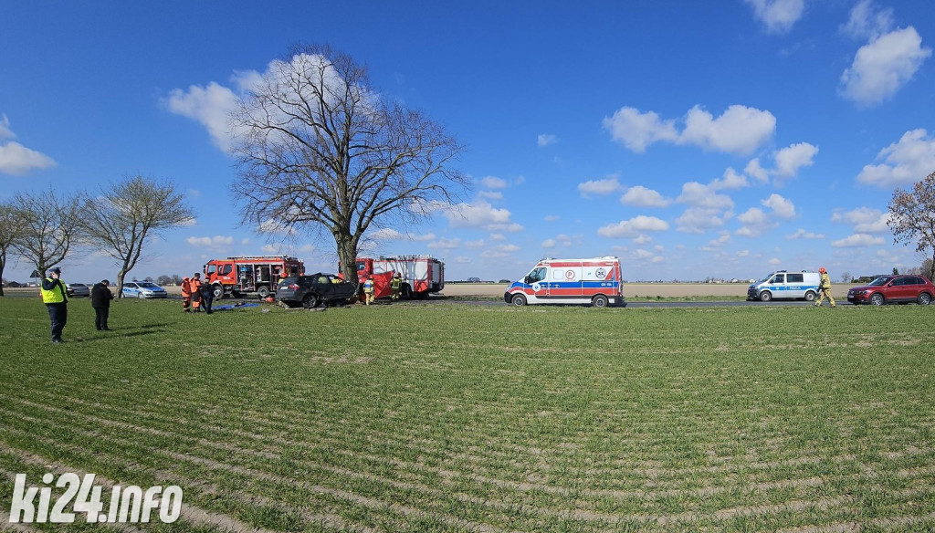 BMW uderzyło w drzewo