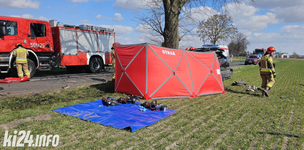 BMW uderzyło w drzewo