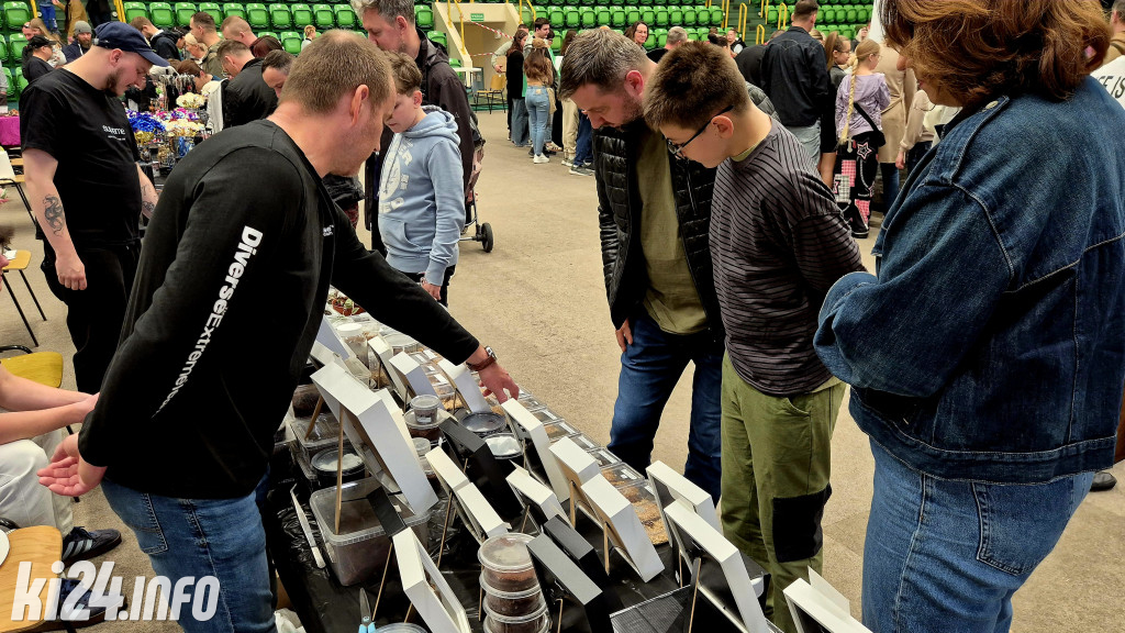 Festiwal egzotycznych zwierząt