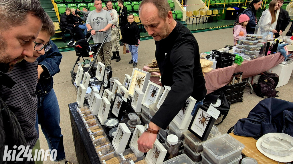 Festiwal egzotycznych zwierząt