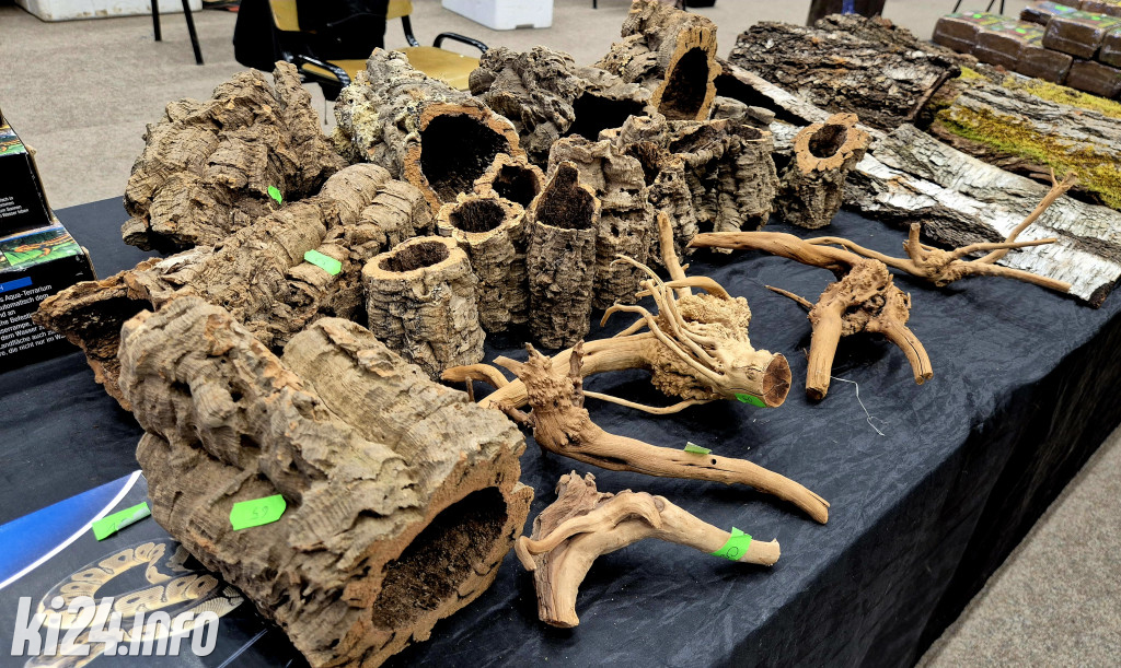 Festiwal egzotycznych zwierząt