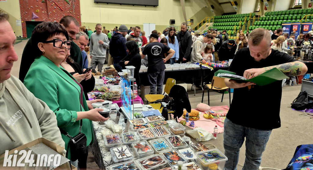 Festiwal egzotycznych zwierząt