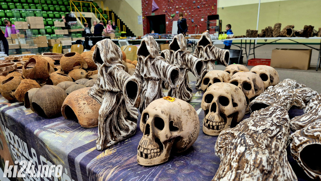 Festiwal egzotycznych zwierząt