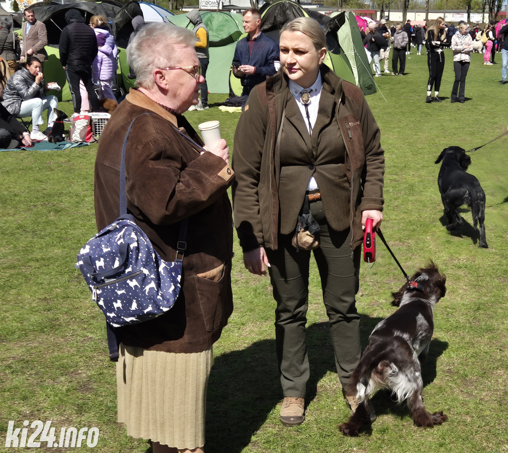 XXXVIII Krajowa Wystawa Psów Rasowych