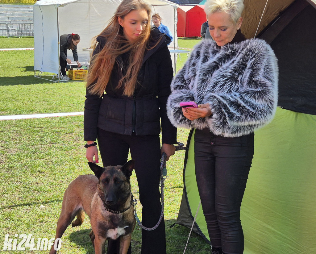 XXXVIII Krajowa Wystawa Psów Rasowych