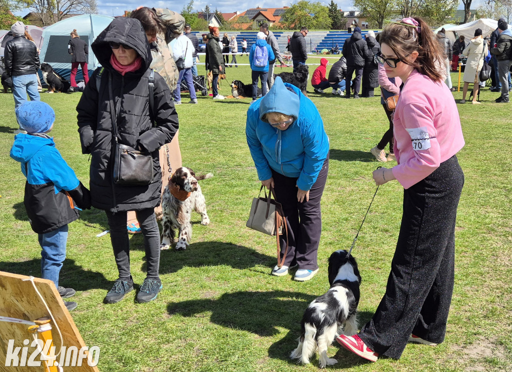 XXXVIII Krajowa Wystawa Psów Rasowych