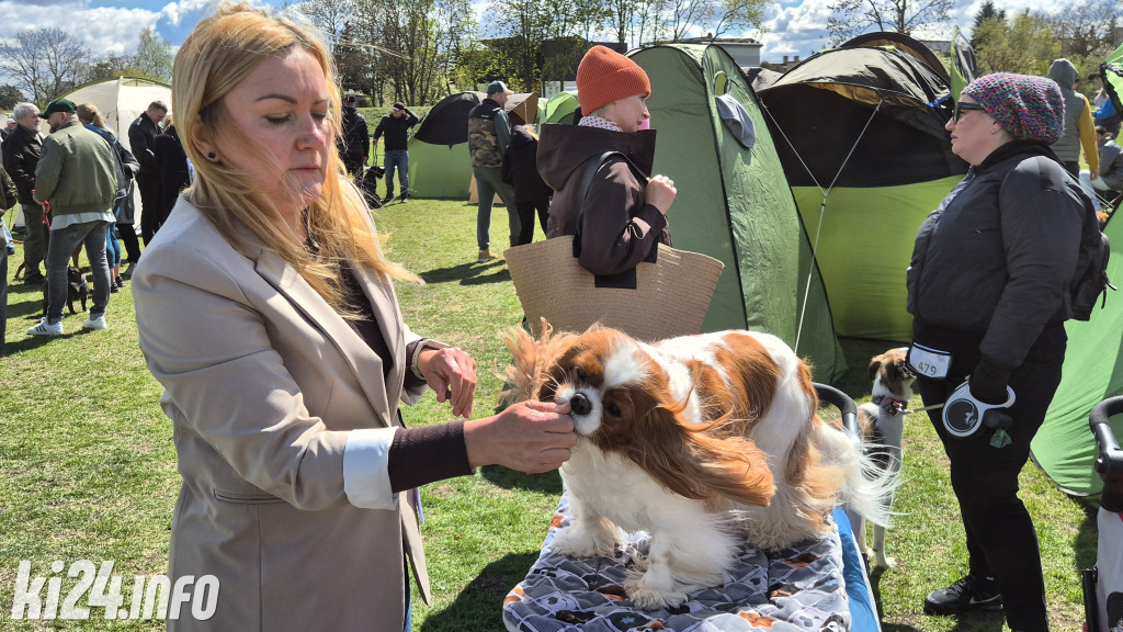 XXXVIII Krajowa Wystawa Psów Rasowych