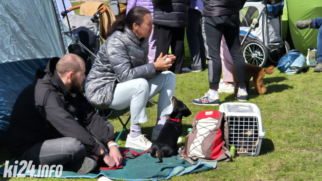 XXXVIII Krajowa Wystawa Psów Rasowych