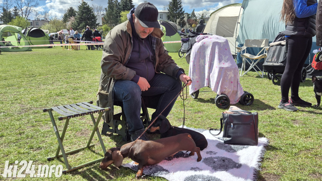 XXXVIII Krajowa Wystawa Psów Rasowych