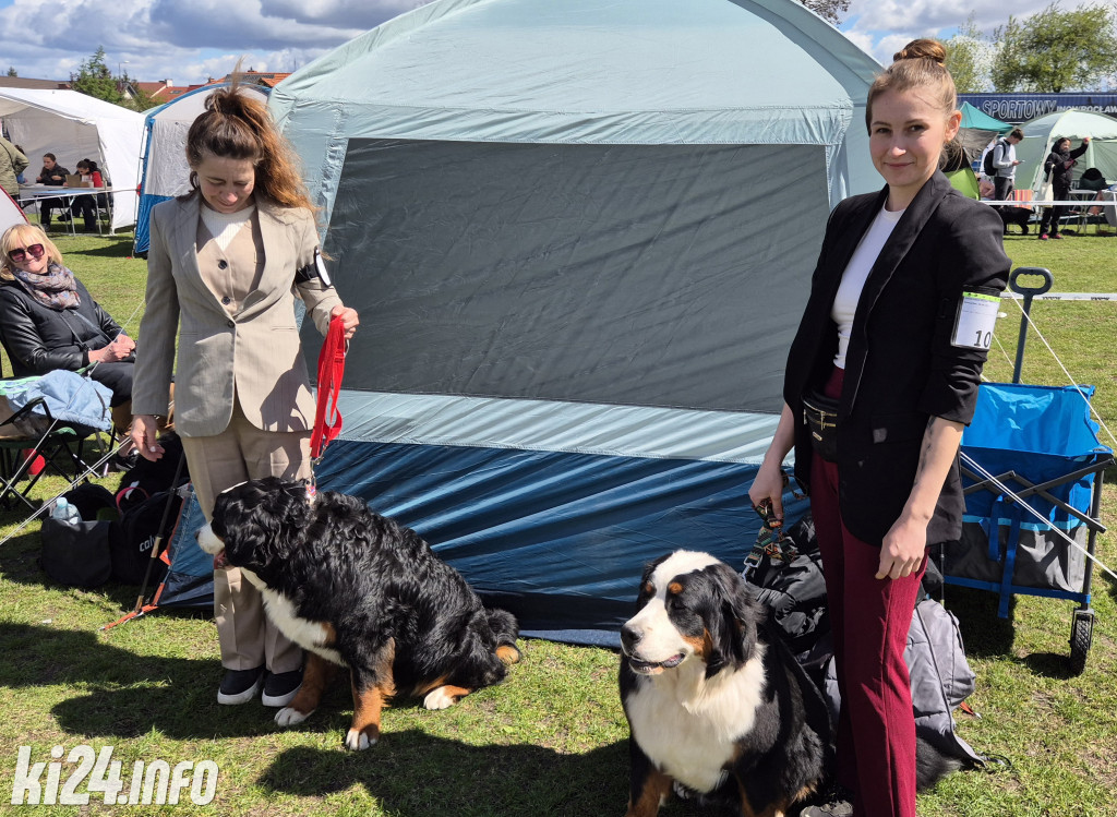 XXXVIII Krajowa Wystawa Psów Rasowych