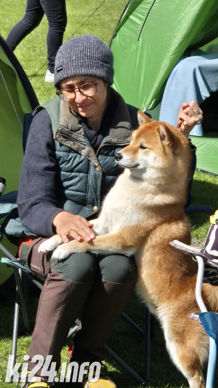 XXXVIII Krajowa Wystawa Psów Rasowych