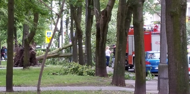 Wichura czyni spustoszenie