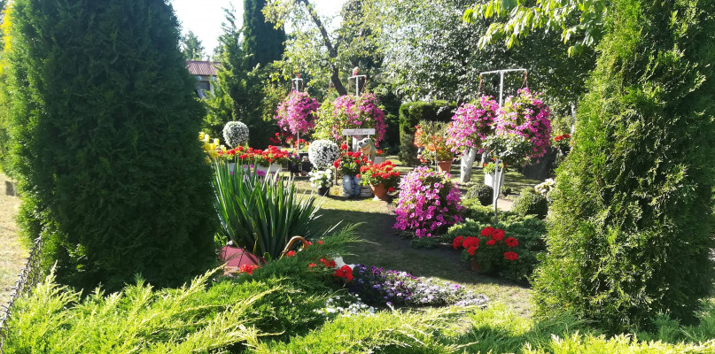 Poznaliśmy ogrodników roku. Tak wyglądają najpiękniejsze ogrody w naszym mieście